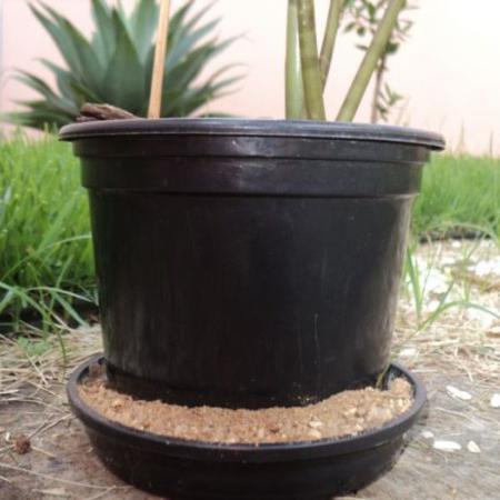  Savoir quand ajouter du sable dans les pots de fleurs