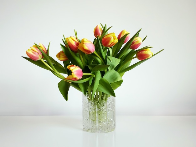  Tulipes : apprendre à cultiver cette merveilleuse fleur à la maison
