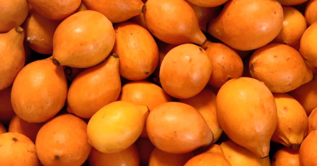  Achachairu ဆိုတာ ဘာလဲ သိလား။ ဒီအရသာရှိတဲ့ သစ်သီးတွေရဲ့ အကျိုးကျေးဇူးတွေကို ကြည့်ပါ။