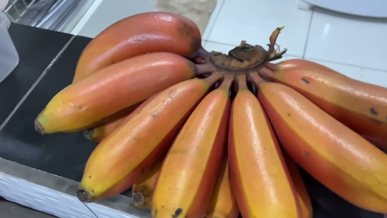  Fialový banán: vypestujte si tento vzácny klenot doma vďaka týmto spoľahlivým tipom!