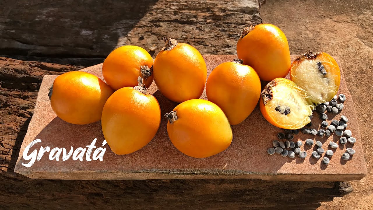  Apprenez à connaître le fruit gravatá, très répandu dans le cerrado brésilien.