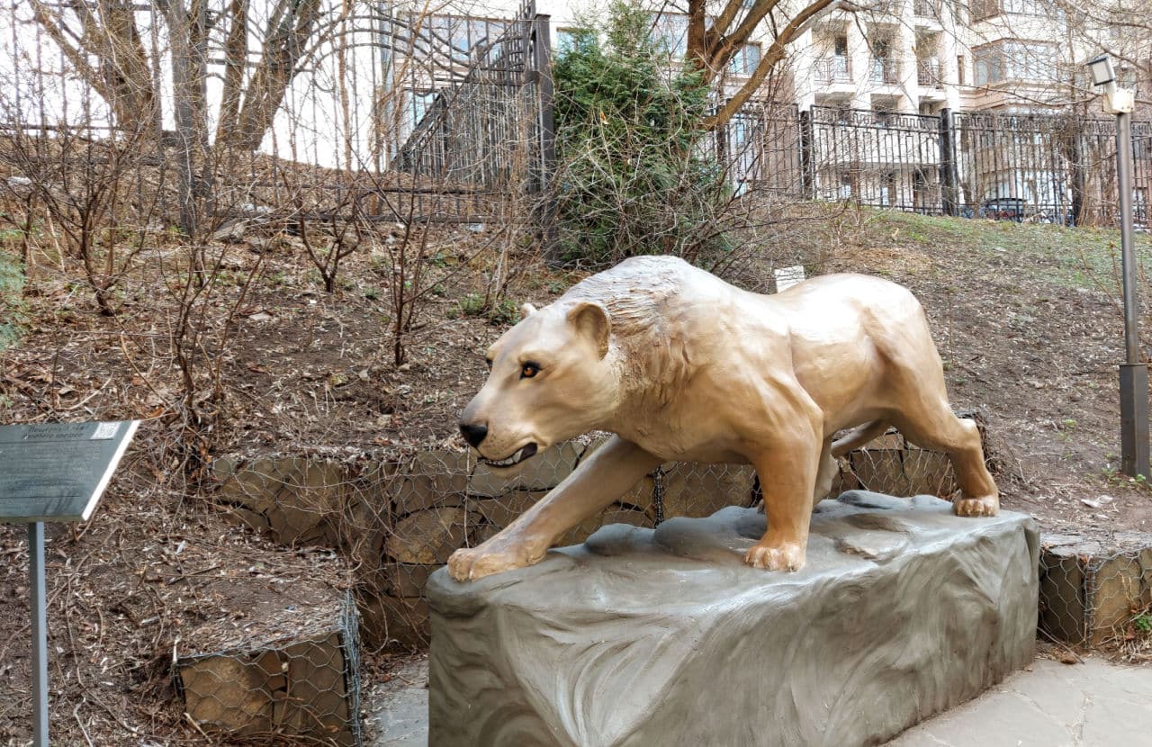  Raungan senyap: temui 4 spesies singa yang telah pupus dari Bumi