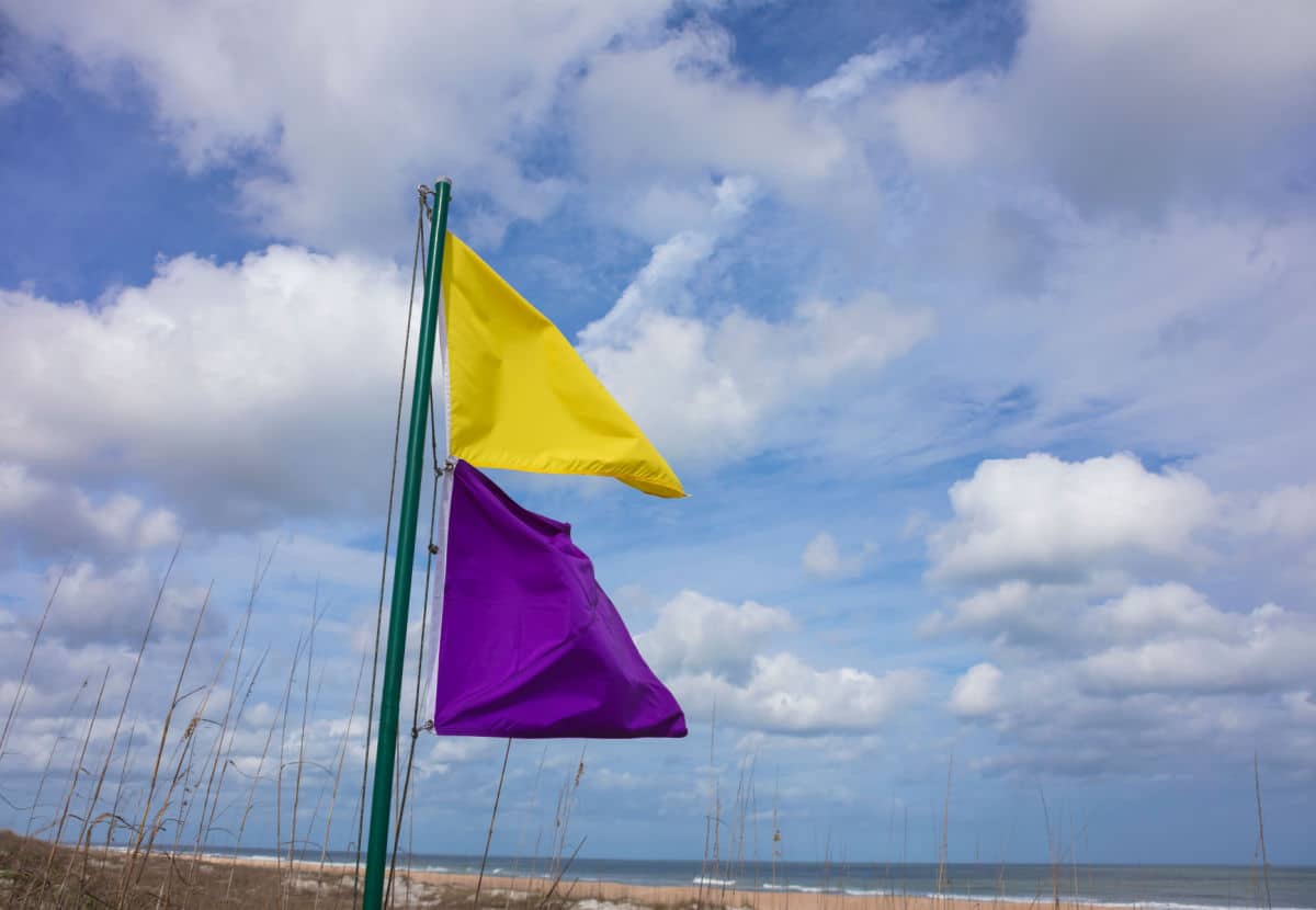  Paplūdimyje pastebėjote violetinę vėliavą? Sužinokite, ką tokiu atveju reikia daryti