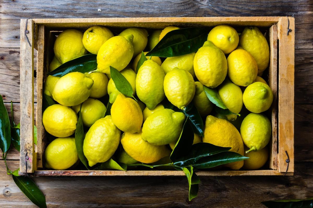  シチリア産レモン：この果物の様々な健康効果をご覧ください。