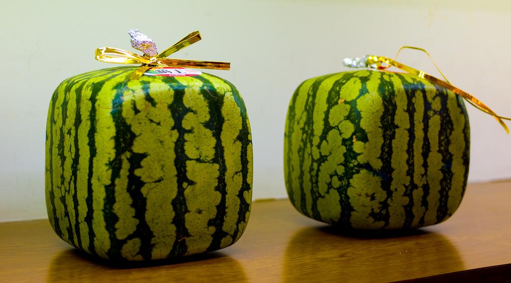  Hranatý melón: naučte sa pestovať toto exotické a chutné ovocie