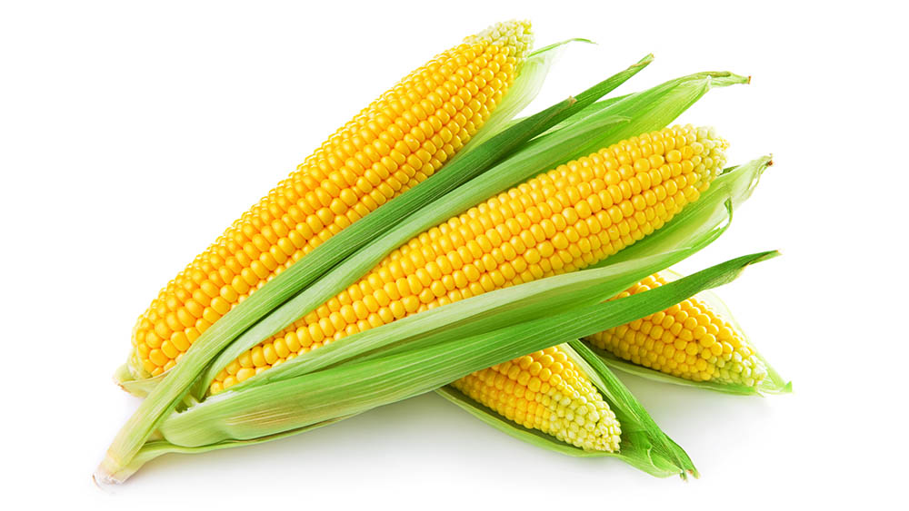  Grøn majs: Lær om de vigtigste fordele, og hvordan du spiser dette korn