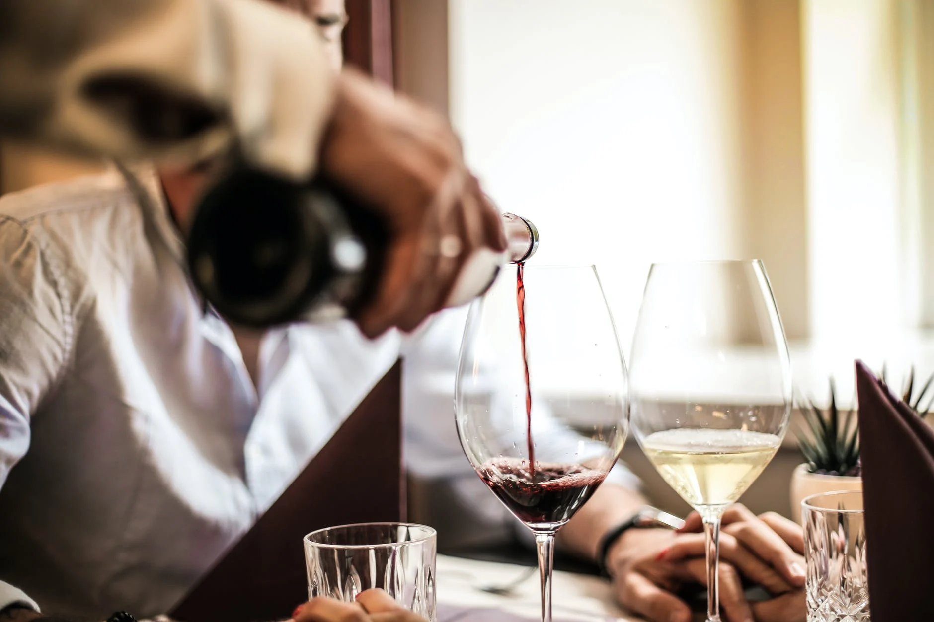  Modets bägare: Skulle du vilja dricka världens äldsta vin?