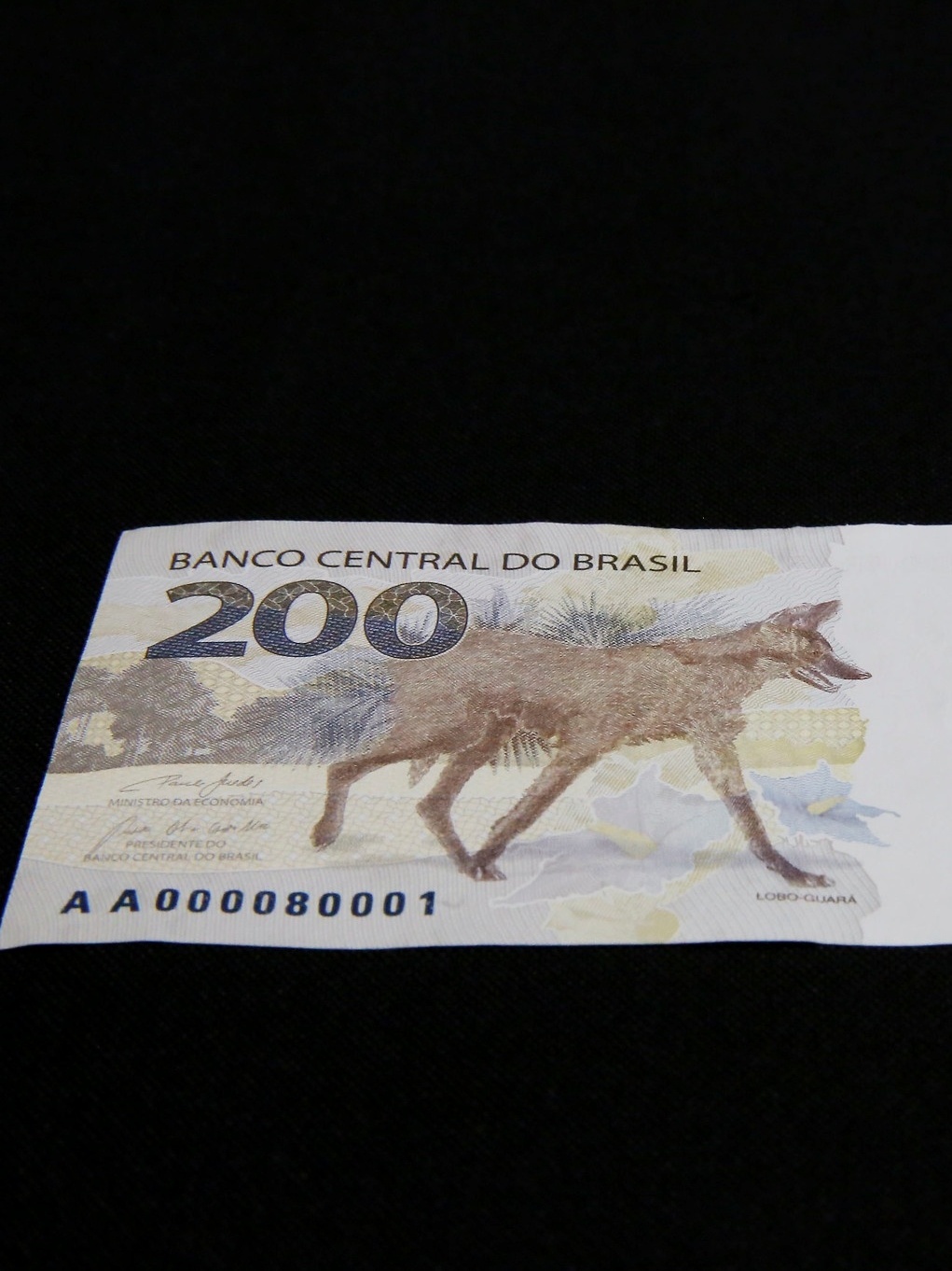  Kodėl apyvartoje beveik niekada nematomas 200 rublių banknotas? Sužinokite vaizdą