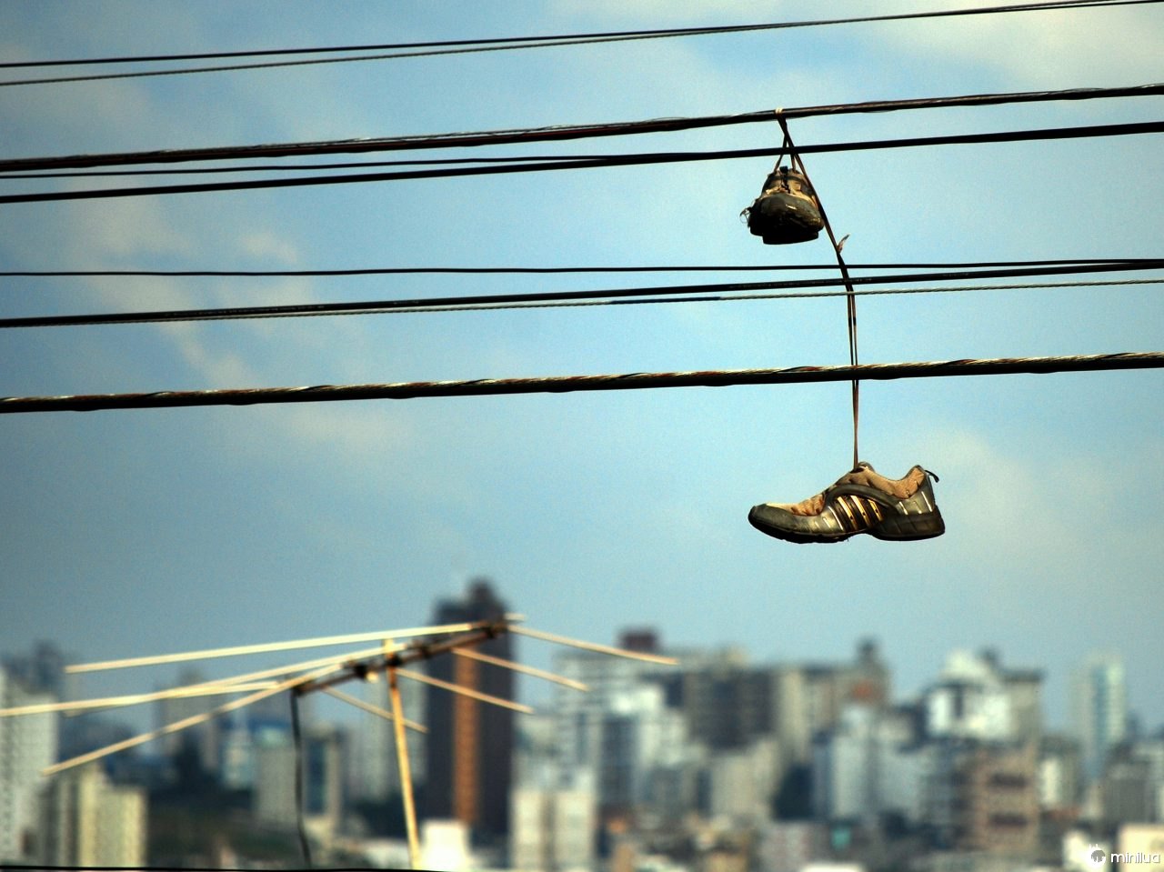 Դուք հաստատ տեսել եք մի զույգ սպորտային կոշիկներ, որոնք կախված են փողոցի լարերից, բայց ի՞նչ է դա նշանակում: